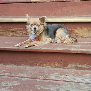 Meet your Posher, Julie